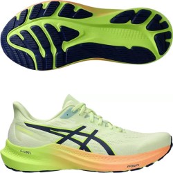 Asics GT-2000 12 1011B691-302