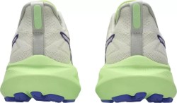Asics GT 2000 13 TR 1011C042-300