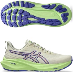 Asics GT 2000 13 TR 1011C042-300