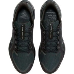 Nike Air Zoom Pegasus 41 Gtx FQ1356-001