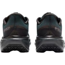 Nike Air Zoom Pegasus 41 Gtx FQ1356-001