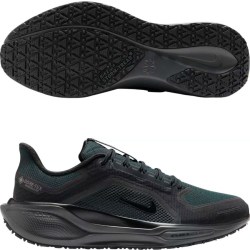 Nike Air Zoom Pegasus 41 Gtx FQ1356-001