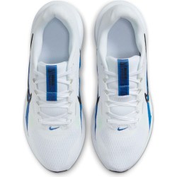 Nike Downshifter 13 White FD6454-103