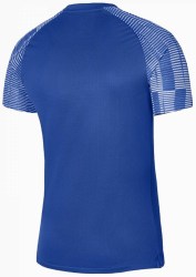 Nike-Dri-FIT-Academy-DH8031-463
