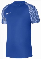 Nike-Dri-FIT-Academy-DH8031-463