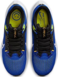 Nike Pegasus 40 DV3853-401