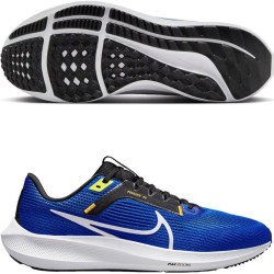 Nike Pegasus 40 DV3853-401