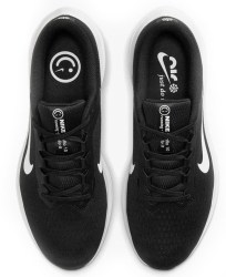 Nike Winflo 10 DV4022-003
