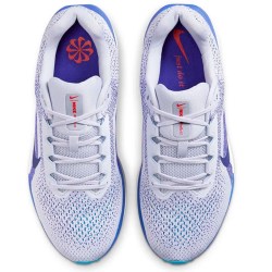 Nike Winflo 11 FJ9509-006