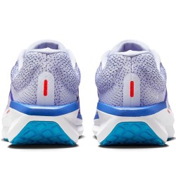 Nike Winflo 11 FJ9509-006