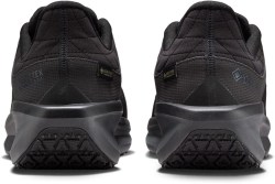 Nike Winflo 11 Gore-Tex FQ1358-001