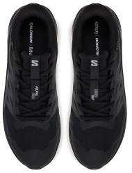 Salomon Alphaglide GTX L47802100