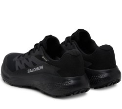 Salomon Alphaglide GTX L47802100