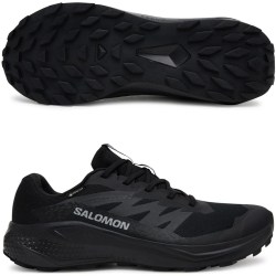 Salomon Alphaglide GTX L47802100